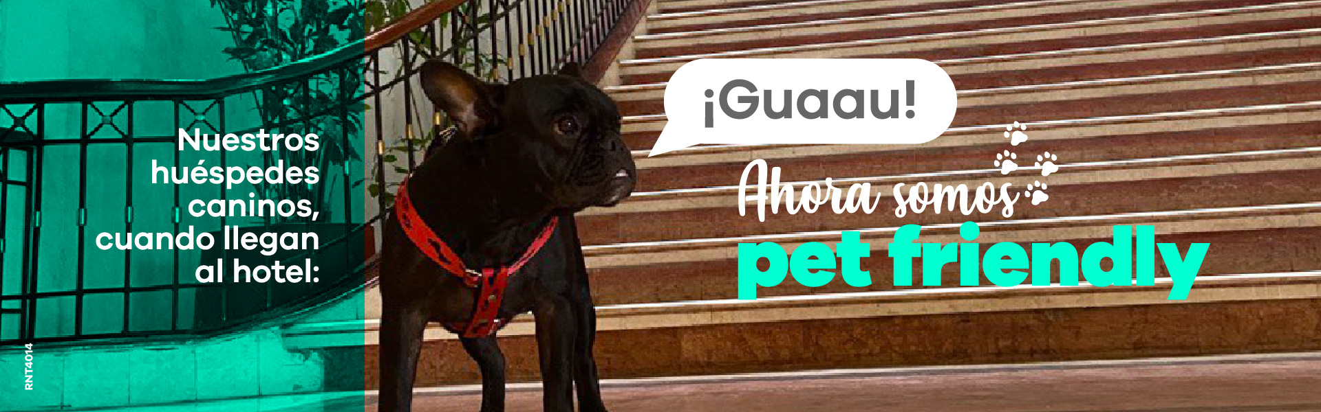 Inferior Derecho 945 Reglamento Pet Friendly - Hotel Almirante Cartagena